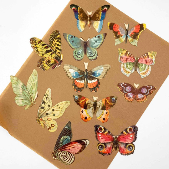 Colorful Butterflies Loose Paper Scrap Pack